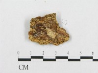 登錄號:F0007094藏品圖，第3張