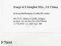 登錄號:F0007095藏品圖，第2張