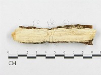 登錄號:F0007095藏品圖，第3張