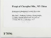 登錄號:F0007096藏品圖，第2張