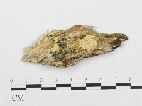 登錄號:F0007096藏品圖，第1張