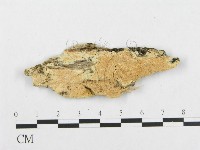 登錄號:F0007096藏品圖，第3張