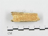 登錄號:F0007097藏品圖，第1張