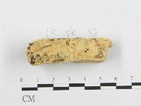 登錄號:F0007097藏品圖，第3張