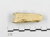 登錄號:F0007097藏品圖，第4張