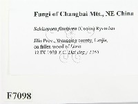 登錄號:F0007098藏品圖，第2張