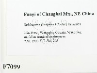 登錄號:F0007099藏品圖，第2張