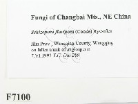 登錄號:F0007100藏品圖，第2張