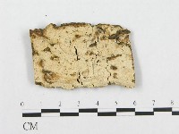 登錄號:F0007100藏品圖，第1張