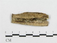 登錄號:F0007101藏品圖，第3張