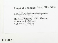 登錄號:F0007102藏品圖，第2張