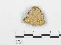 登錄號:F0007102藏品圖，第1張