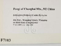 登錄號:F0007103藏品圖，第2張