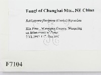 登錄號:F0007104藏品圖，第2張