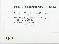 登錄號:F0007105藏品圖，第2張