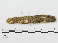 登錄號:F0007105藏品圖，第1張