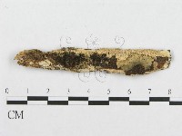 登錄號:F0007105藏品圖，第3張