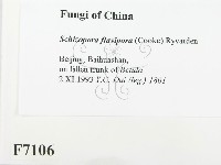 登錄號:F0007106藏品圖，第2張