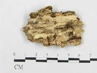 登錄號:F0007106藏品圖，第3張