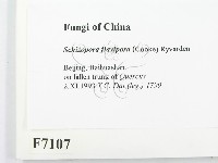 登錄號:F0007107藏品圖，第2張