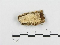 登錄號:F0007107藏品圖，第3張