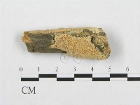 登錄號:F0007109藏品圖，第1張