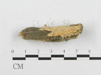 登錄號:F0007109藏品圖，第4張