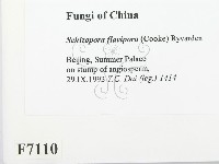 登錄號:F0007110藏品圖，第2張