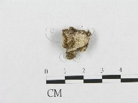 登錄號:F0007110藏品圖，第1張