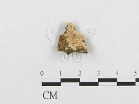 登錄號:F0007110藏品圖，第3張