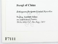 登錄號:F0007111藏品圖，第2張