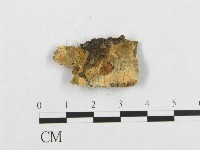 登錄號:F0007111藏品圖，第3張