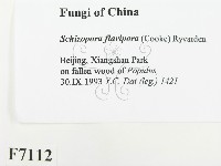 登錄號:F0007112藏品圖，第2張