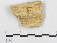 登錄號:F0007112藏品圖，第1張