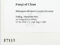 登錄號:F0007113藏品圖，第2張