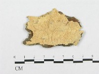 登錄號:F0007113藏品圖，第1張