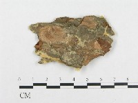 登錄號:F0007113藏品圖，第3張