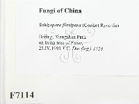 登錄號:F0007114藏品圖，第2張