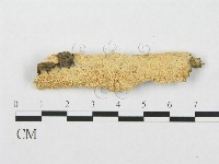 登錄號:F0007115藏品圖，第1張