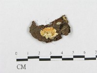 登錄號:F0007116藏品圖，第1張