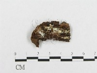 登錄號:F0007116藏品圖，第3張