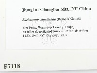 登錄號:F0007118藏品圖，第2張