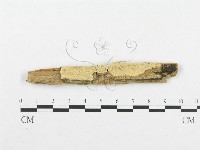 登錄號:F0007118藏品圖，第1張