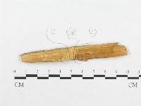 登錄號:F0007118藏品圖，第3張