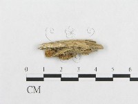 登錄號:F0007119藏品圖，第3張