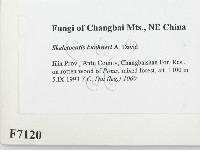 登錄號:F0007120藏品圖，第2張