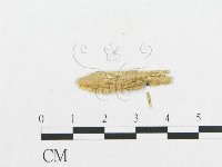 登錄號:F0007120藏品圖，第3張