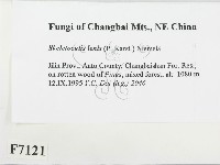 登錄號:F0007121藏品圖，第2張