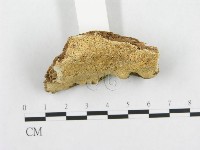 登錄號:F0007121藏品圖，第3張