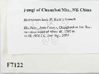 登錄號:F0007122藏品圖，第2張